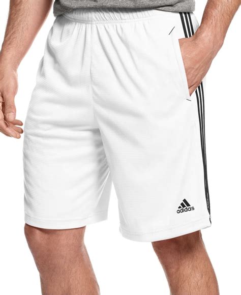 adidas climalite weiß shorts|Adidas climalite sweat pants men's.